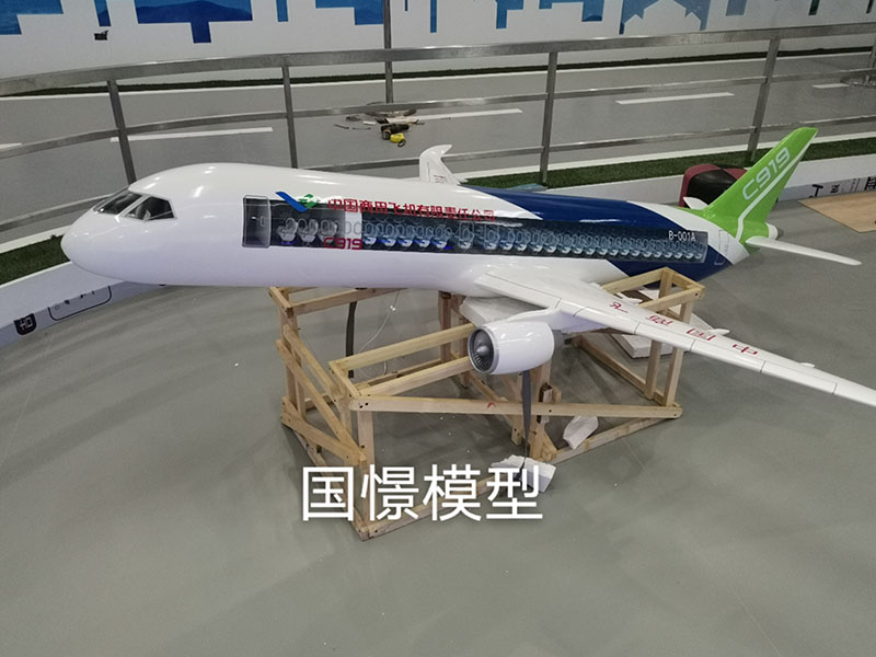 莱阳市飞机模型